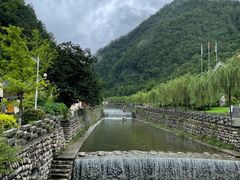 -牛背梁国家森林公园