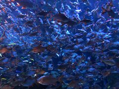 -成都浩海立方海洋公园