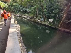 -龙颈河漂流