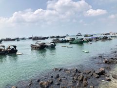 -硇洲岛旅游区