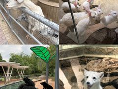 -南京金牛湖风景区