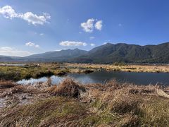-腾冲北海湿地