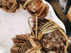 -樱煦和牛寿喜烧(如皋吾悦广场店)