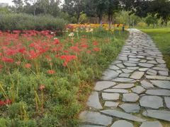 -白塘生态植物园