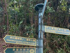 -东望洋炮台东望洋灯塔