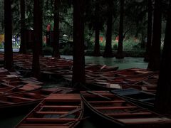 -渌洋湖湿地公园