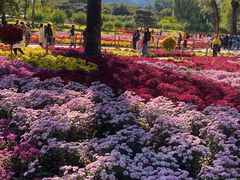 -国家植物园南园