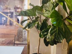 -KYO COFFEE(胶州路店)