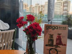 -gaga(北京新中关购物中心店)