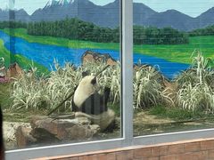 -苏州太湖国家湿地公园