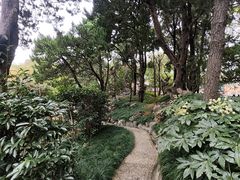 -叶家花园