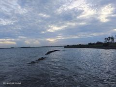 -漕湖湿地公园