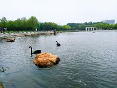 -长春世界雕塑园冰雪艺术天地