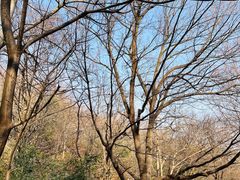 -敬亭山风景名胜区