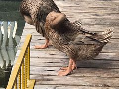 -泉乐坊步行街(烟酒特产平价超市店)