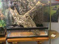 -Rabbit Cafe私房西餐甜点咖啡(栖霞路店)