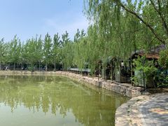 -杨柳青庄园