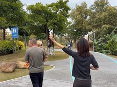 -宝安西湾红树林湿地公园