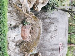 -南普陀寺
