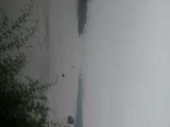 -大渡口区义渡公园