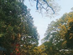 -桂林独秀峰王城景区