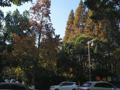 -杭州西湖风景名胜区-满觉陇四眼井