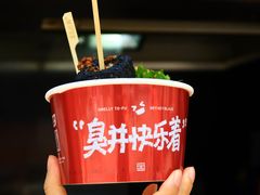 -黑色经典臭豆腐·湖南特产(坡子街店)