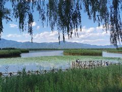 -野鸭湖国家湿地公园