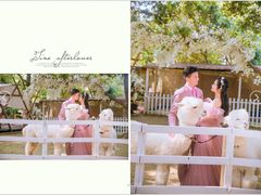 -经典婚纱摄影美学馆·私人定制