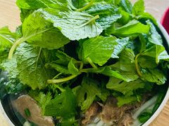 薄荷-攀枝花·任德琼·盐边羊肉米线