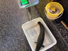 -江南鱼捞(北仑银泰城店)