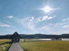 -塞罕坝国家级自然保护区