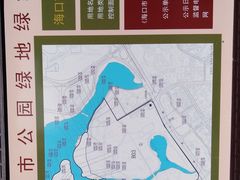 -万绿园