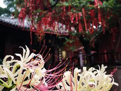 -七曲山风景区