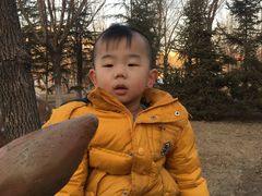 -国家动漫园