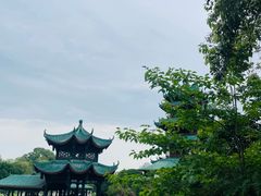 -桂湖森林公园