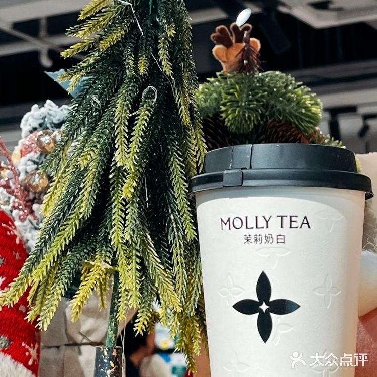 2024年的尾巴，和茉莉奶白一起…