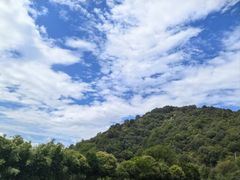-武汉姚家山旅游景区