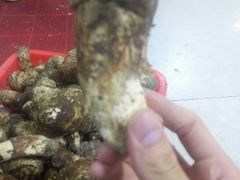 -南渝食府.墨脱石锅松茸鸡