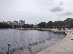 -新江湾城公园