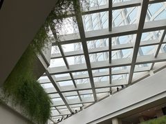 -白天鹅宾馆·月兔吧