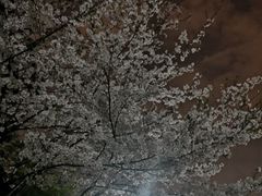 -杭州城北体育公园