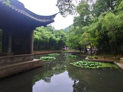 -兰亭风景区