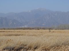 -野鸭湖国家湿地公园