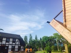-金山农民画村-枫泾波兰倒置屋