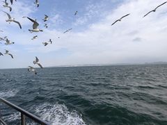 -刘公岛景区