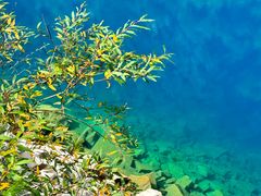 -叠溪松坪沟景区