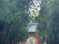 -灵谷景区
