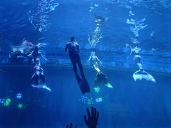 -华夏文旅海洋公园