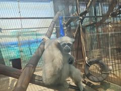 -昆明动物园